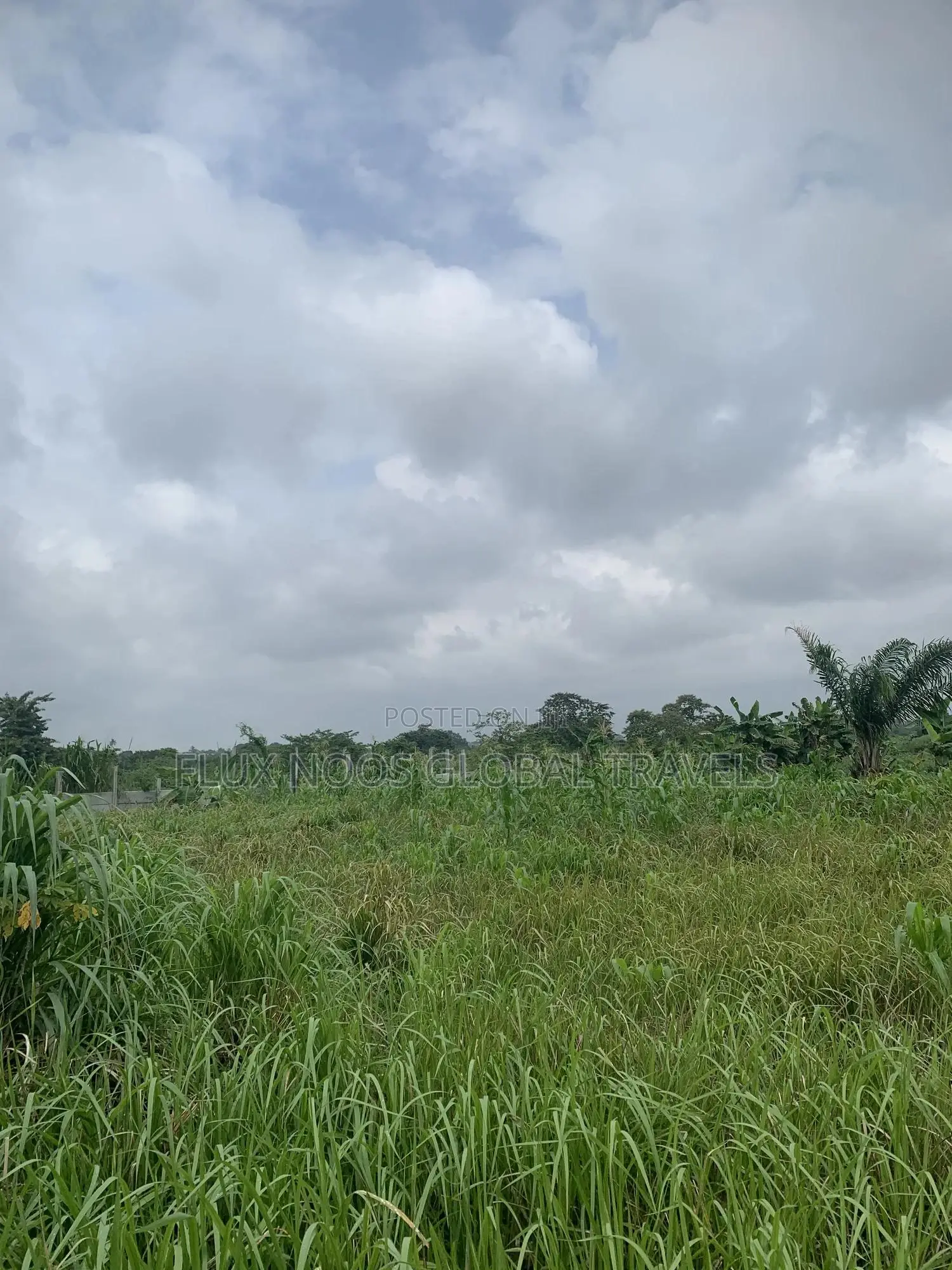 Half Plots for Sale or Swap With a Car