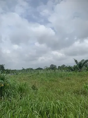 Half Plots for Sale or Swap With a Car