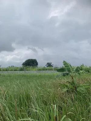 Half Plots for Sale or Swap With a Car