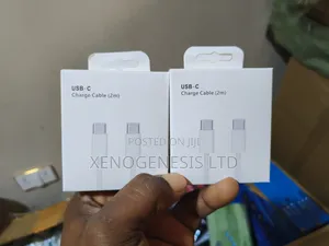 Apple Type C Cable 2m