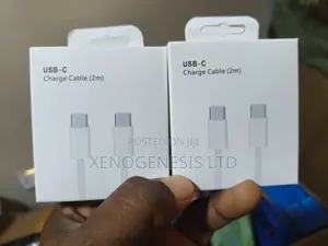 Apple Type C Cable 2m