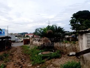 Land /Plot