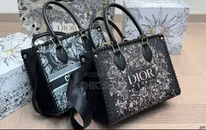 Dior Medium Size Bag