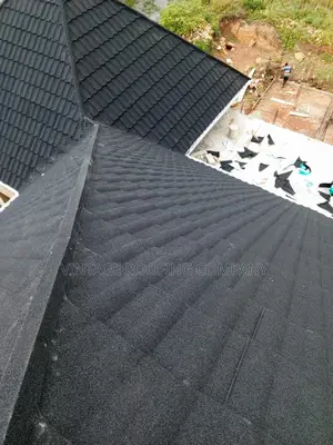 Nice Wood Work and Quality Euro Tiles Roofing Sheet