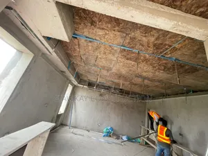 Plasterboard Project Workers