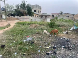 4bdrm House in Royal City, Ashaiman Municipal for sale
