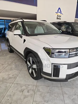 New Hyundai Santa Fe Calligraphy 2024 White