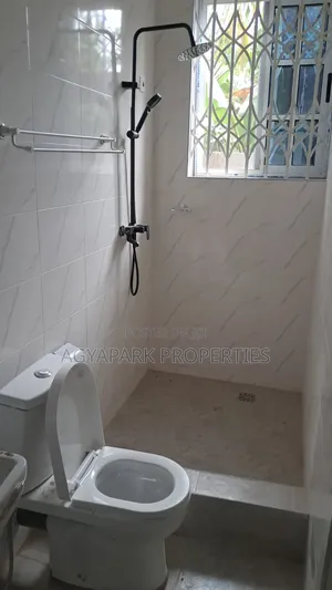 1bdrm Apartment in China Mall, Amasaman for rent