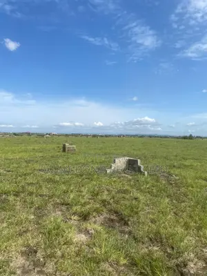 Acquire a Plot in a High-Potential Area