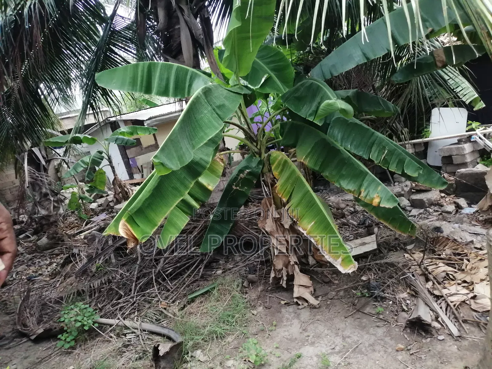 Land for Sale Ars American House