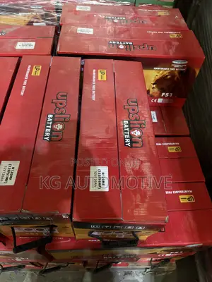 21 Plate Upslion Battery