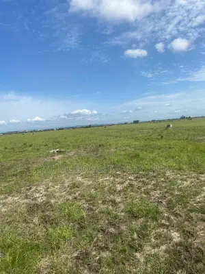 Land Opportunity for Serious Property Buyers