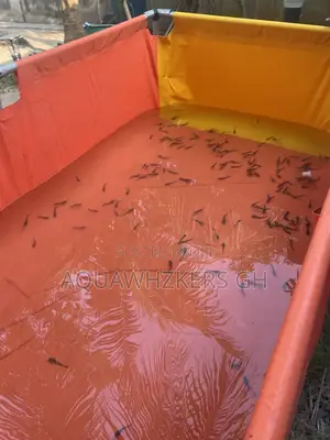Kickstart Your Fish Farming Jorney With Us(Tarpaulin)