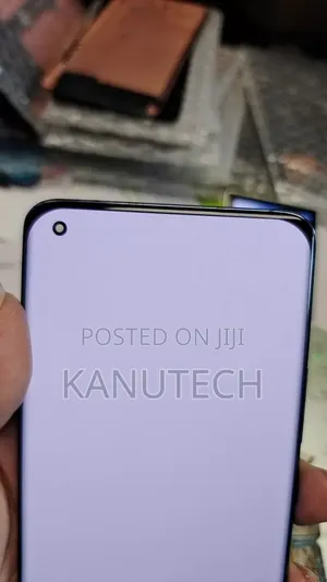 Xiaomi Mi 11 Ultra and 11 Pro Screen