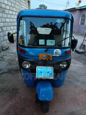 Tricycle 2025 Blue