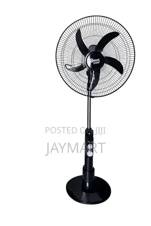 Rechargeable Standing Fan
