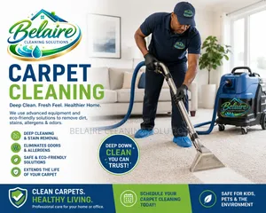 Carpet Cleaning Detailing