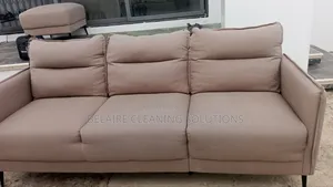 Sofa Cleaning Detailing
