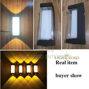 Double Edge Wall Light