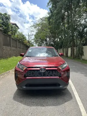 Toyota RAV4 LE 2022 Burgundy