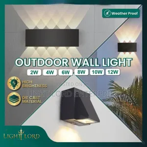 Light Lord Outdoor Wall Light