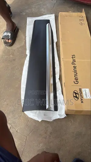 Hyundai Santa-Fe 2020 Door Moulding