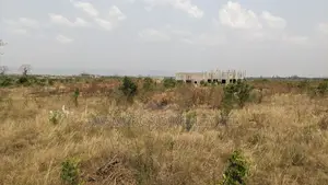 Future Home Location at Afienya-Dodowa Road