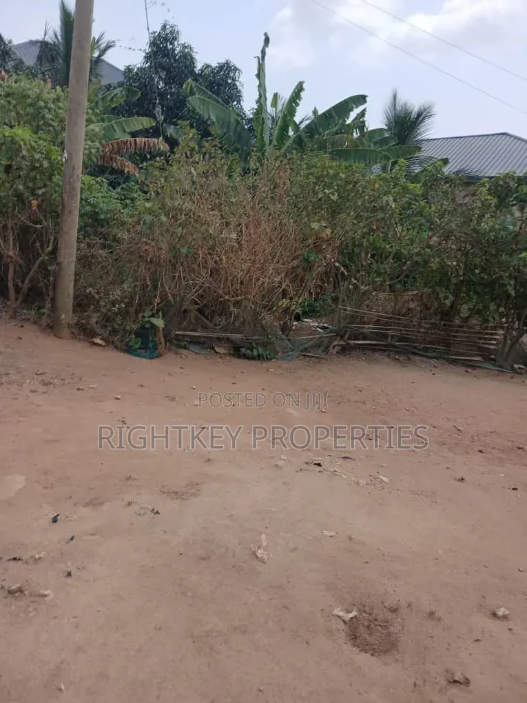 Plot of Land at Ejisu Ampaame