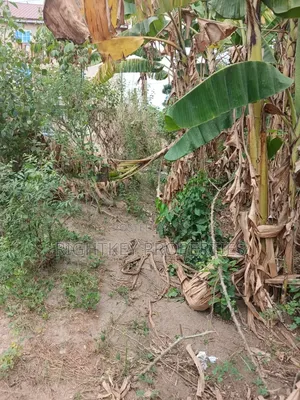 Plot of Land at Ejisu Ampaame
