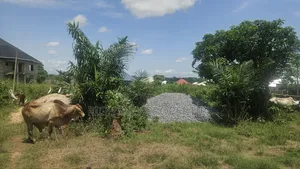 Plot of Land at Ejisu Ampaame