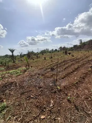 Land at Dida