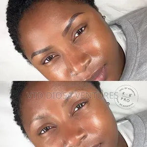 Eyebrow Tattoo (Micro Shading and Microblading )