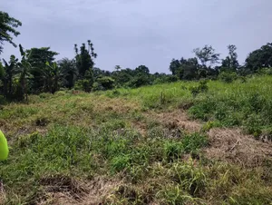 Plots for Sale