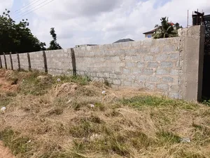 Two Classic Plots for Your Dream House- Amrahia