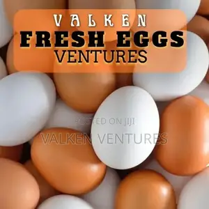 Fresh Eggs