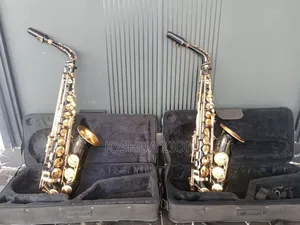 Saxophone - Professional Ammoon Alto Saxophone From Uk