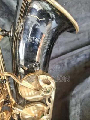 Saxophone - Professional Ammoon Alto Saxophone From Uk