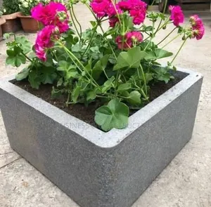 Flower Pots