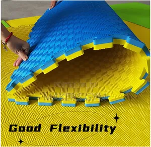 Interlocking Floor Mat 30mm(3cm Thick Nesss)