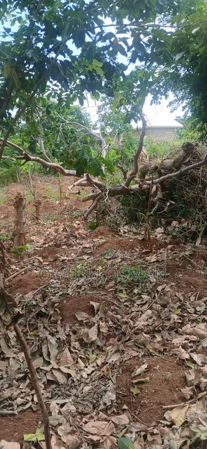 15 Plots on the Techiman to Kumasi Road Next to a Cement Factory