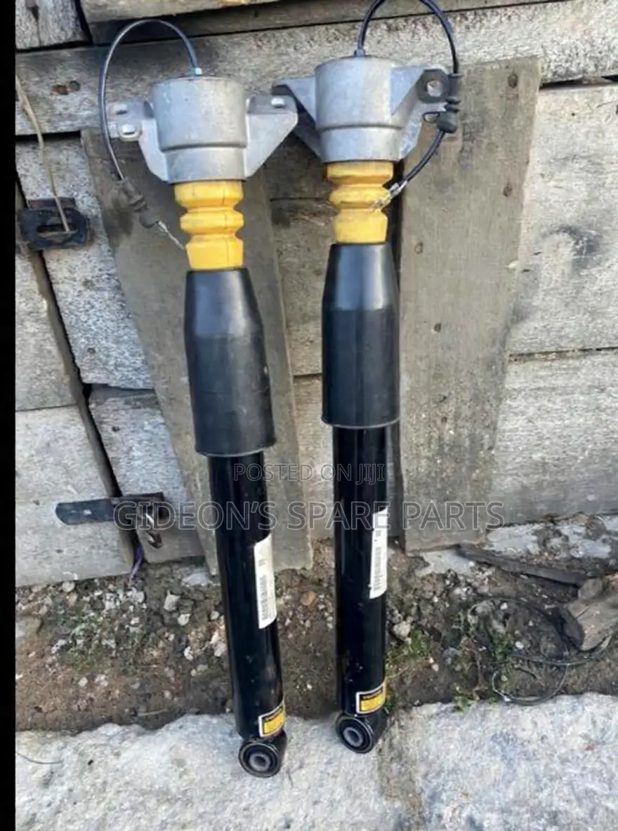 2024 Porche Macan Back Shock Absorber