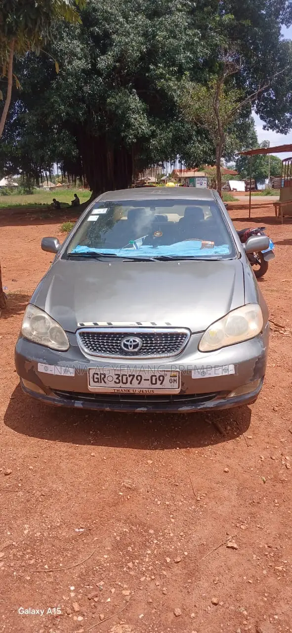 Toyota Corolla LE 2007 Gray