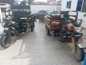 New Tricycle 2024 Brown