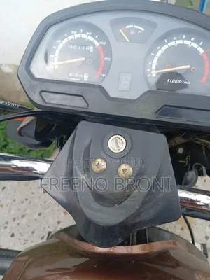 New Tricycle 2024 Brown