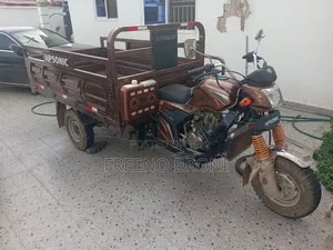 New Tricycle 2024 Brown