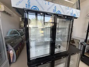 Commercial Double Door Bottle Cooler Fridge