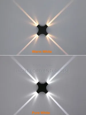 ) ( Raf X Wall Lamp