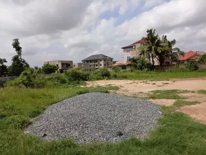Prestige-Choice ( 2 Plots) - Amrahia