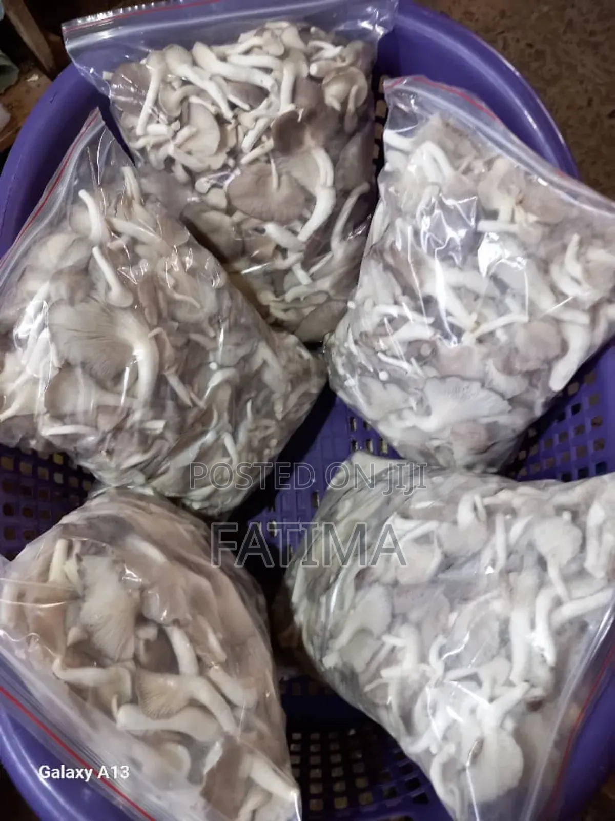 Fresh and Juicy Oyster Mushrooms
