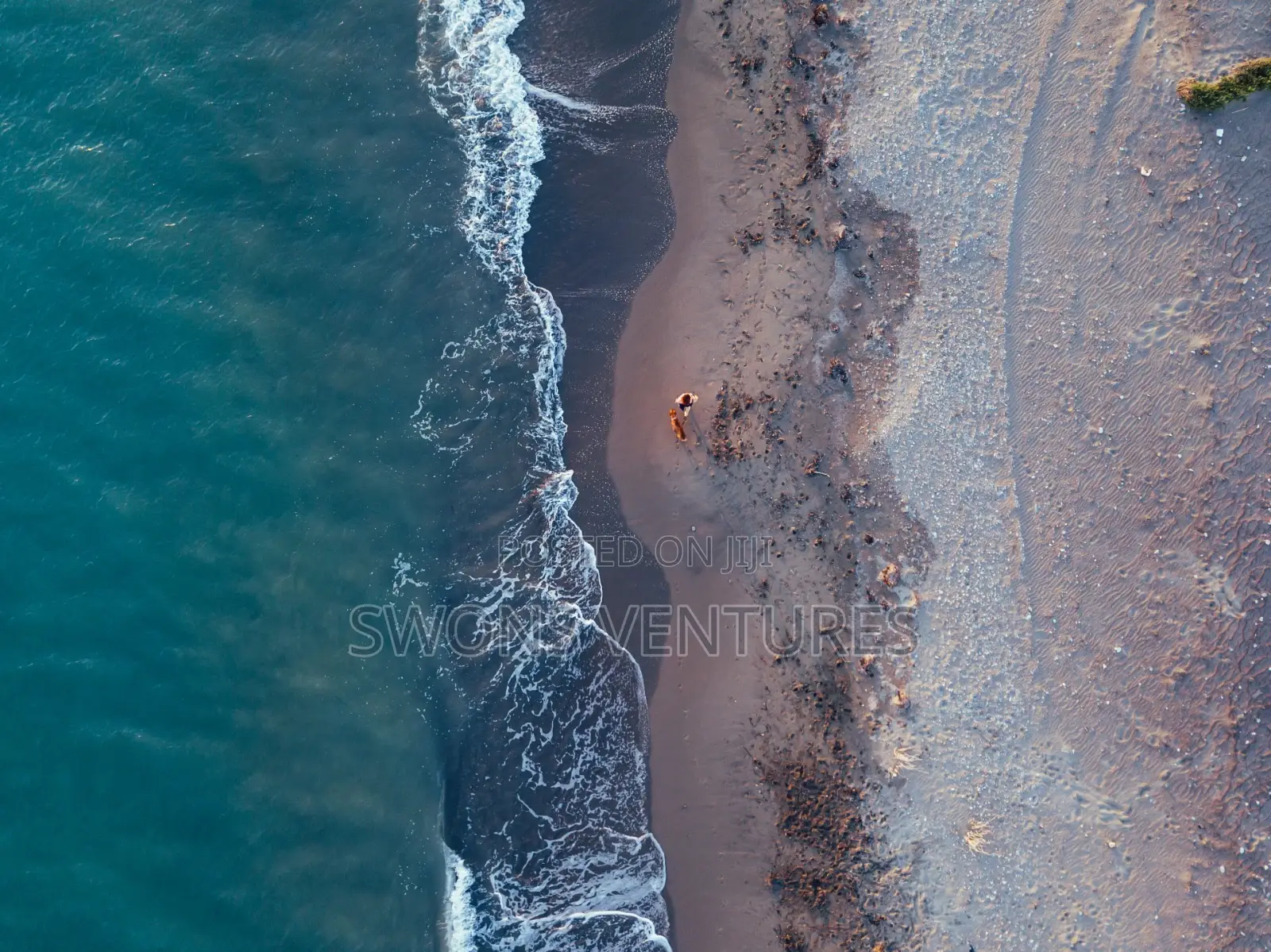Professional Drone Shots